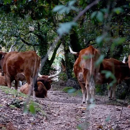 Holiday home Quinta Parque Nacional Peneda Geres *