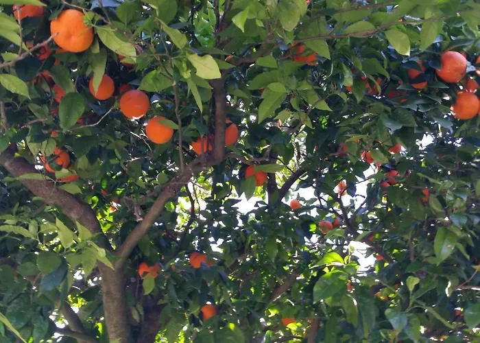 Quinta Parque Nacional Peneda Geres Casa de Férias Paradamonte