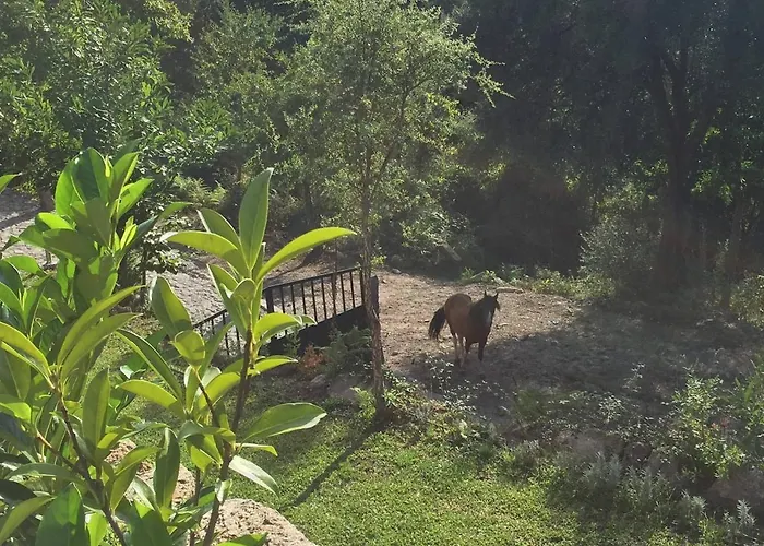 Quinta Parque Nacional Peneda Geres