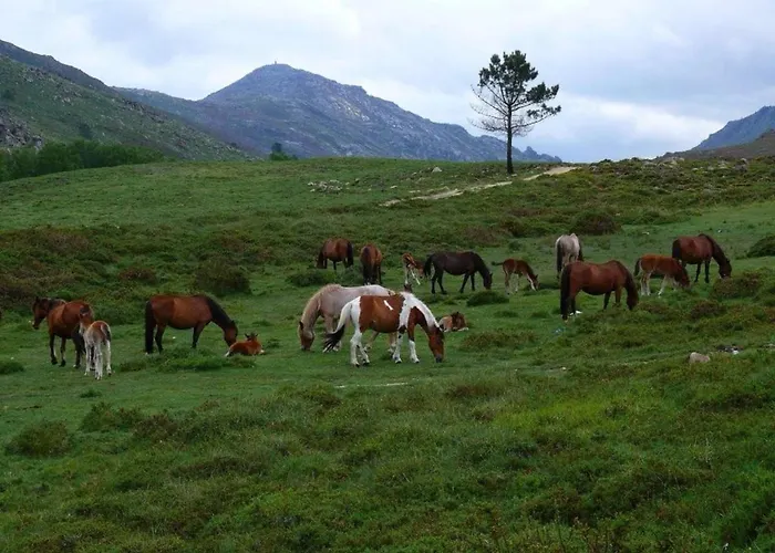 Quinta Parque Nacional Peneda Geres